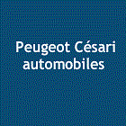 Concessionnaire, garage et carrosserie Baillargues Peugeot Cesari